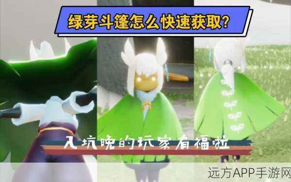 光遇绿芽斗篷获取攻略，全面解析获取途径与分享心得