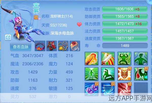 浣熊大师全面解析，神武宠物攻略中的顶尖存在