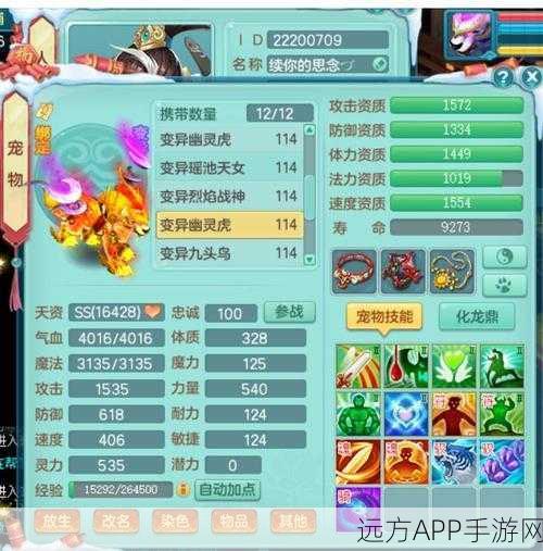 浣熊大师全面解析,神武宠物攻略中的顶尖存在