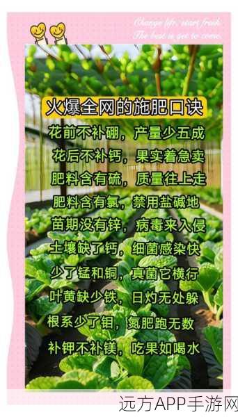 模拟农场17肥料补给全攻略，打造丰收绿洲的秘诀