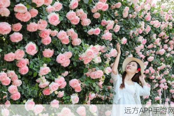 王者荣耀花海秘境探寻,解锁地图隐藏美景与竞技奥秘
