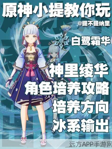 原神深度解析，神里绫华大招伤害段数与实战应用