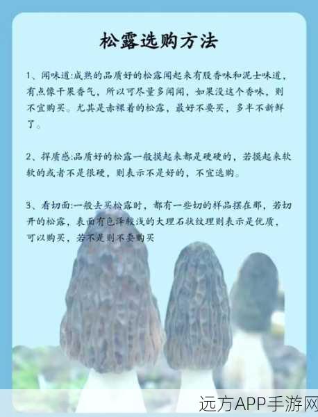 幻塔珍稀食材揭秘,黑松露高效采集攻略
