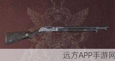 生化危机8,解锁神秘光剑LZ解答者,全面攻略大揭秘