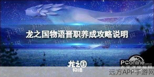 龙之国物语深度攻略,解锁魔晶石搭配与镶嵌的终极奥义