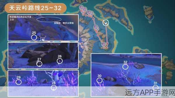 原神鸣草全图采集攻略，高效获取秘籍，助你轻松备战新版本