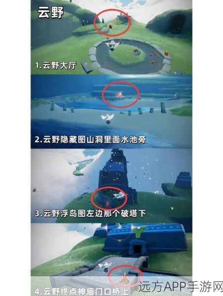 光遇净化挑战全攻略,十株黑暗植物位置详解与高效通关技巧
