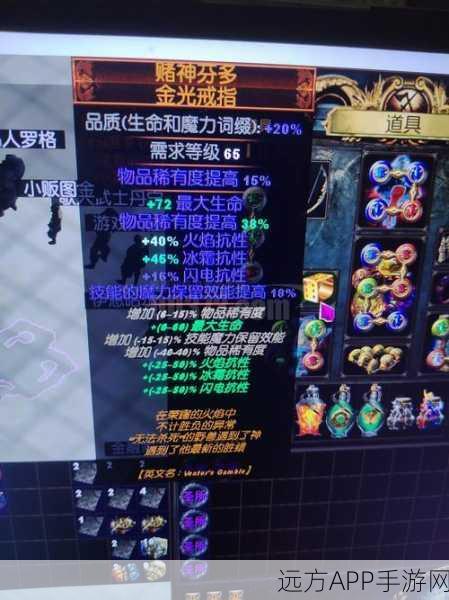 探秘流放之路，揭秘不朽生命药剂的合成秘籍与竞技挑战