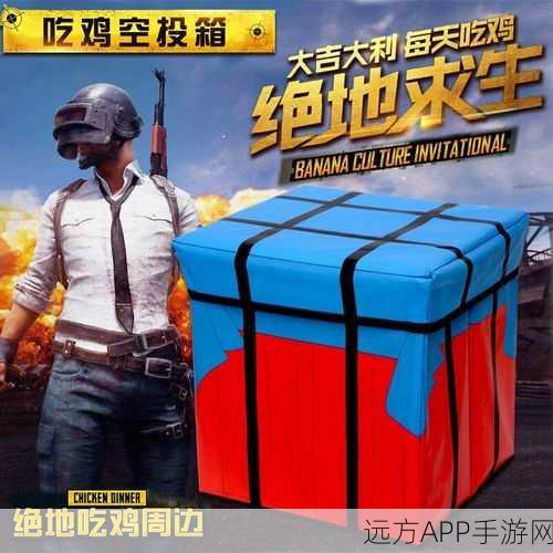 绝地求生大逃杀深度攻略，揭秘空投装备热门落点与飞机投放规律