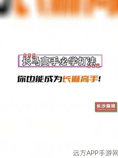 伊洛纳团队战必胜秘籍,深度剖析合作技巧与实战策略