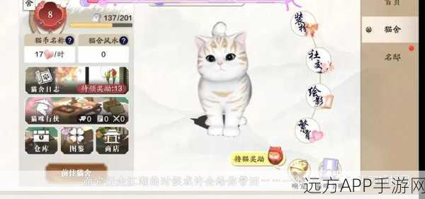 天涯明月刀手游休闲新境界，揭秘猫之友玩法独特魅力与趣味赛事