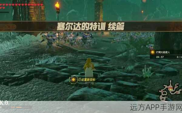塞尔达无双灾厄启示录,灾厄封印战全攻略,解锁隐藏技巧与战斗细节