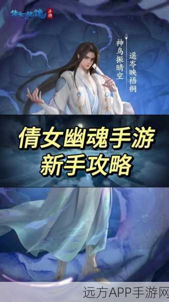 倩女幽魂手游画质飞跃，全面优化指南与资源管理秘籍