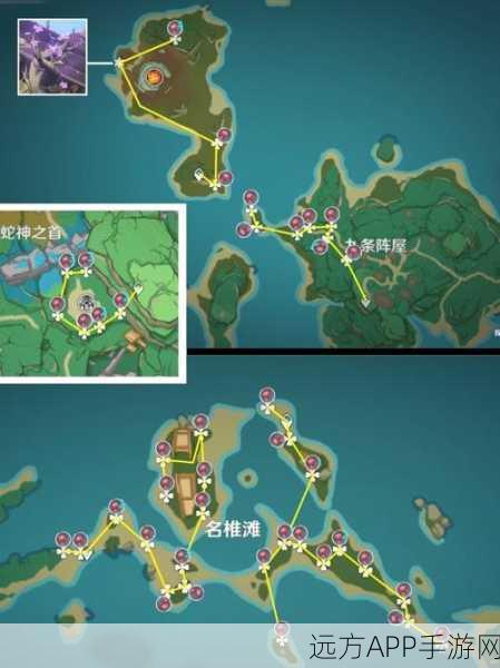 原神血斛高效采集全攻略，独家揭秘热门采集点与分布地图
