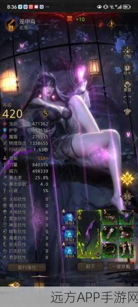 地下城堡3魂之诗，揭秘坠星之墟的奇幻入口与探险攻略