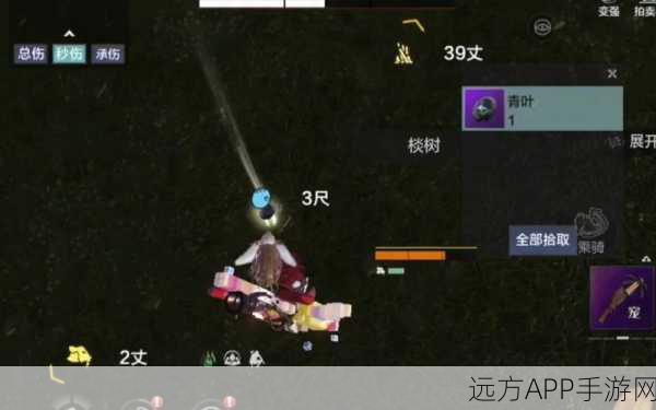 妄想山海，揭秘青叶宝藏，详尽位置与探索攻略