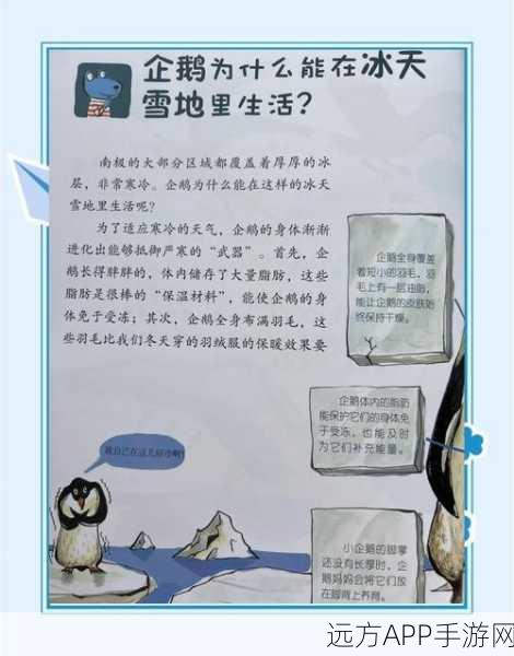 企鹅冰钓,趣味横生的休闲竞技,冬日暖心之选!