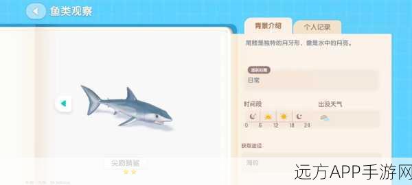 心动小镇海钓解锁全攻略，掌握技巧，赢取海洋宝藏！
