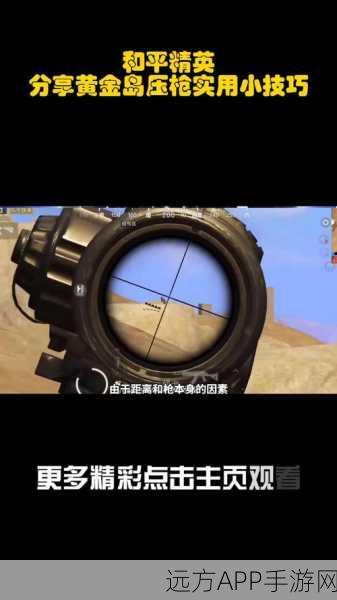 揭秘和平精英经典模式,黄金局圈外堵人战术大揭秘