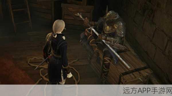艾尔登法环,黑夜君临独享冒险,双人游玩模式缺席