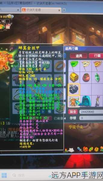 梦幻神武，独家冲级攻略，揭秘高效升级新策略