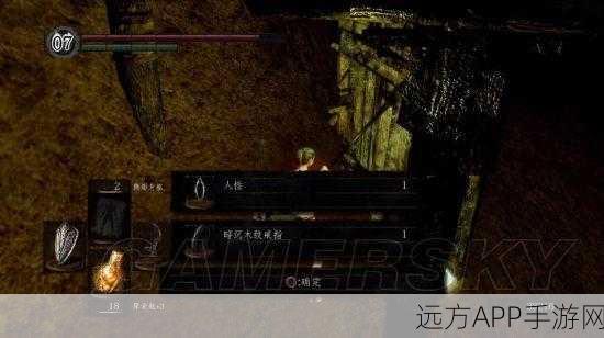 黑暗之魂重制版全戒指搜集攻略，解锁最强戒指，征服黑暗世界