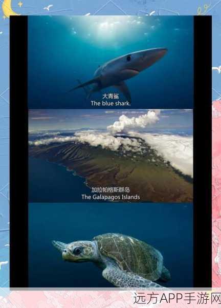 方舟2025，深海探险，驯服与捕捉鲨鱼的终极指南