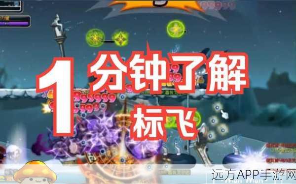 冒险岛高手必备，标飞卡标技巧全攻略与秘籍大公开