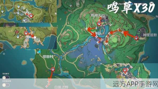 原神鸣草采集大赛全攻略，精准定位与高效采集技巧揭秘
