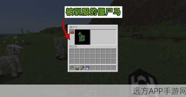 我的世界，揭秘僵尸马的独特用途与高效获取策略