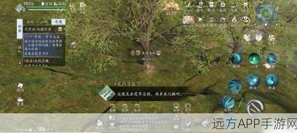 天涯明月刀手游,独家揭秘!高效获取专用鱼饵的终极攻略