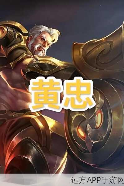 王者荣耀顶尖对决，揭秘最强黄忠玩家荣耀之路
