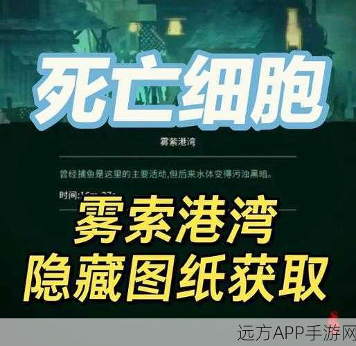 重生细胞深度解析，分叉钥匙全攻略，揭秘隐藏宝藏之谜