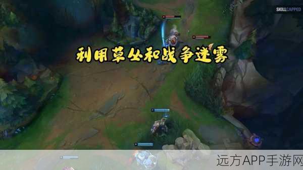 英雄联盟手游，揭秘五大挑战区，排位赛上分之路为何如此艰难？