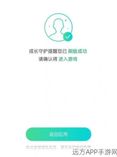 和平精英身份验证难题,为何认证信息总不匹配?深度解析与解决方案