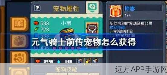 元气骑士宠物获取全攻略，解锁你的专属战斗伙伴！