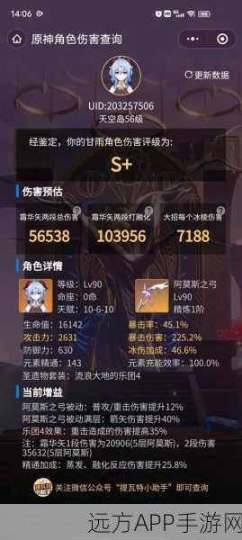 甘雨后台挂冰队终极攻略，高效搭配与实战技巧揭秘