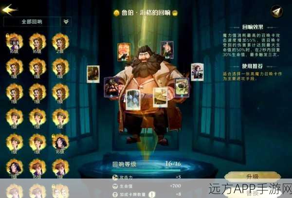 哈利波特魔法觉醒，禁林探险全攻略，揭秘线索多样获取秘籍