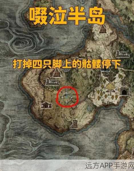 艾尔登法环深度攻略，追忆兑换顶级装备与魔法秘籍的必胜策略