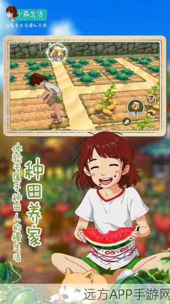 小森生活，相机解锁秘籍与滤镜大师养成计划，打造你的梦幻照片