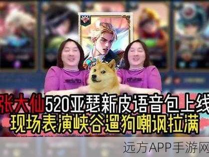 王者荣耀大仙杯全攻略,解锁张大仙专属语音包,赢取荣耀之战!