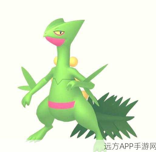 口袋妖怪，揭秘蜥蜴王在漆黑的魅影中的特攻配招策略