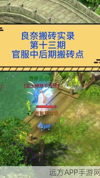倩女幽魂手游封号危机，全面解析应对策略与防封技巧