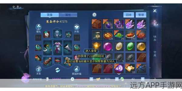 倩女幽魂手游封号危机,全面解析应对策略与防封技巧