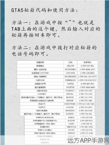 GTA4自由城之章秘籍高效使用方法攻略，掌握资源管理的艺术与技巧