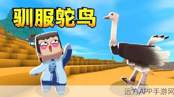手游新探秘，揭秘迷你世界鸵鸟饮食习性大赛精彩瞬间