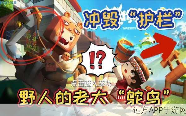 手游新探秘,揭秘迷你世界鸵鸟饮食习性大赛精彩瞬间