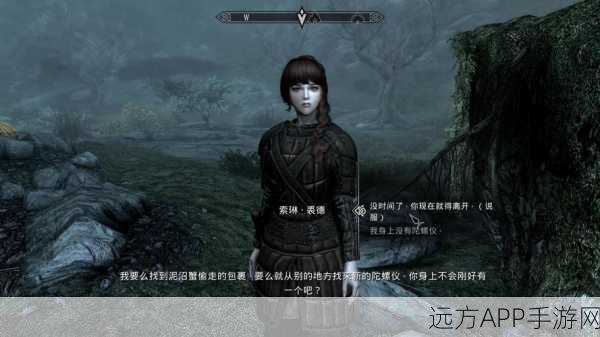 上古卷轴5深度探索,揭秘黎明守卫的隐秘踪迹与攻略秘籍