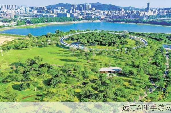 手游新趋势，打造绿色城市，探索垃圾与墓地管理创新策略