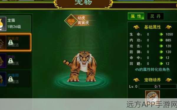 手游深度解析,石器时代M老虎宠物后期实战价值探讨